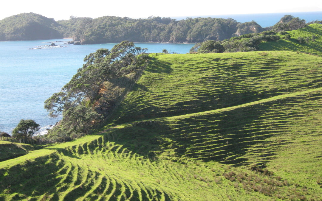 Approach to land healing