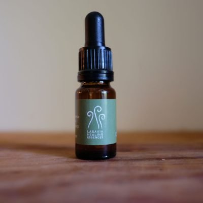 Comfrey, Russian - flexibility
