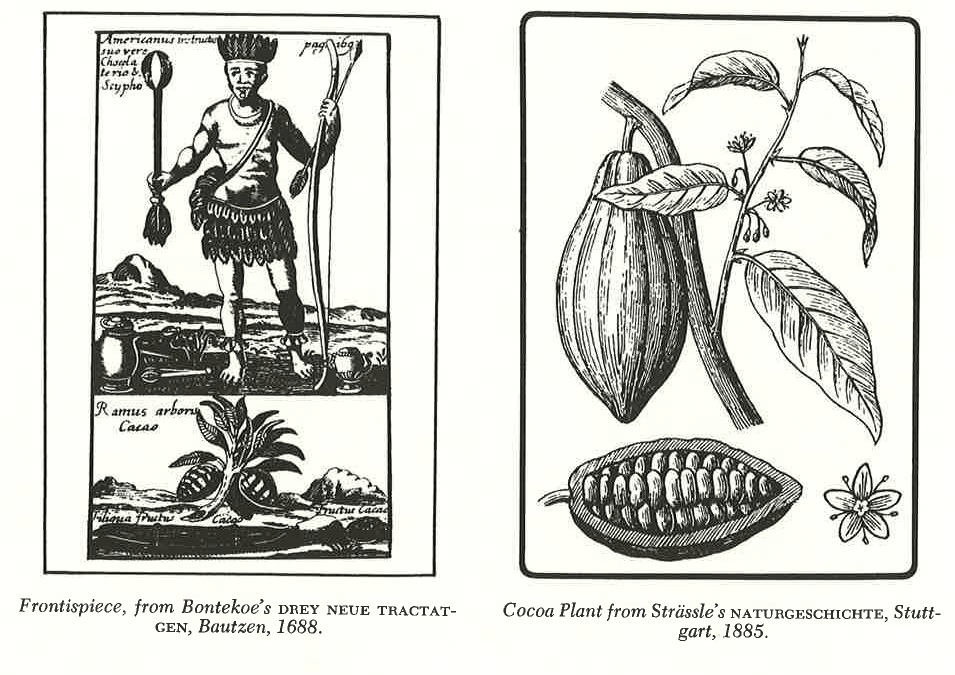 Cacao, by Leila Lees