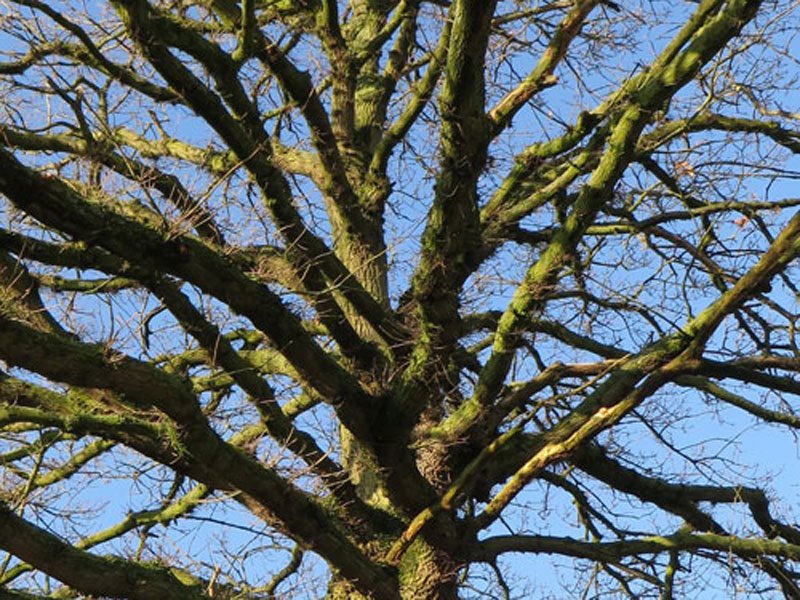 ethical-practice-800x600