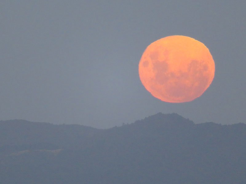 Moonrise---image-by-Deah-Swift