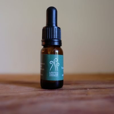 Trauma Remedy for Children and Childhood