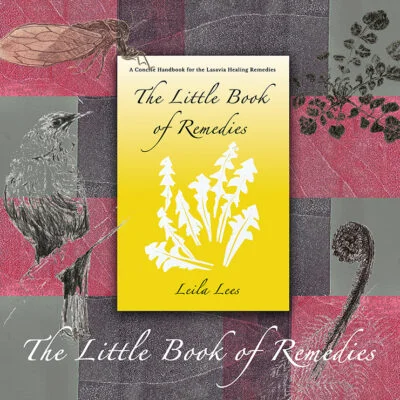 The Little Book of Remedies