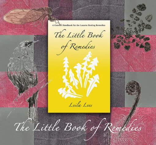 The Little Book of Remedies